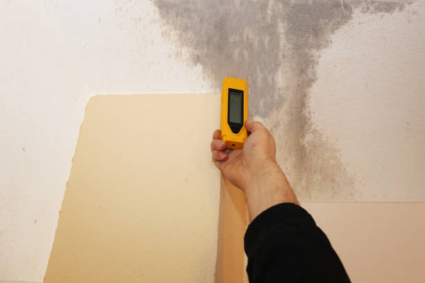 Best Post-Remediation Verification Testing  in Woods Hole, MA