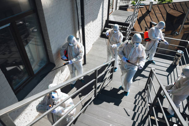 Best Emergency Mold Remediation  in Woods Hole, MA