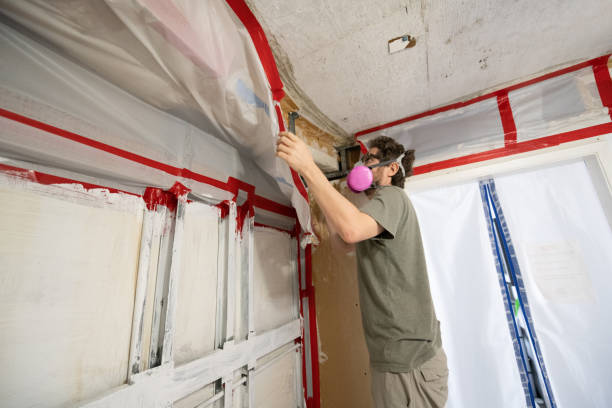Best Post-Construction Mold Inspection  in Woods Hole, MA