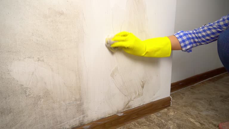 Best HVAC Mold Inspection and Cleaning  in Woods Hole, MA