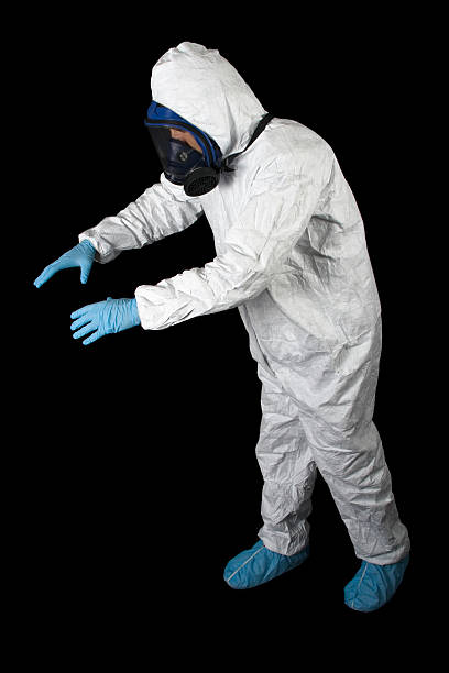 Woods Hole, MA Mold Removal Company