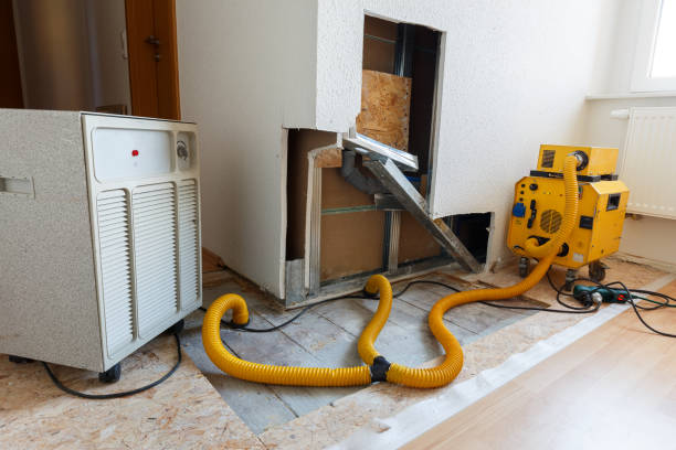 Best Mold Removal for HVAC Installations  in Woods Hole, MA