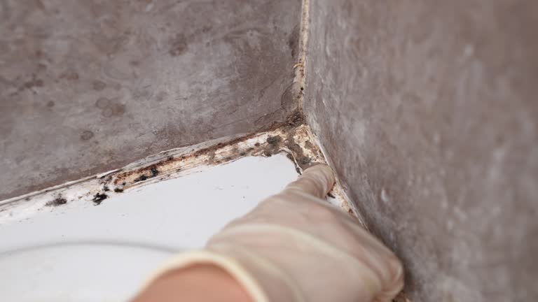 Best Indoor Air Quality Assessment  in Woods Hole, MA